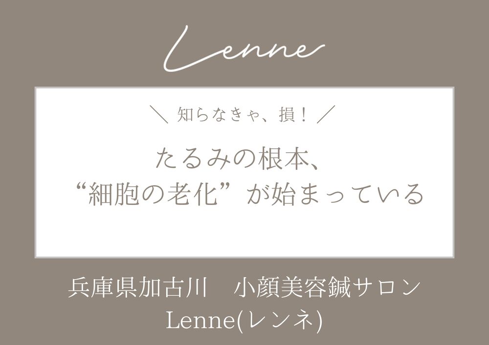 小顔矯正